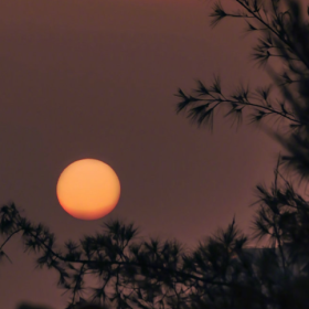 若你决定灿烂，山无遮