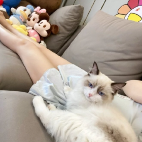 谋生很辛苦 热爱就不