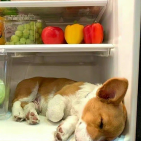 能让别人快乐的人，