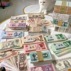 “心比长相好 懂比爱