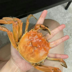 分享图片
