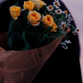 总有人用心，总有人浪