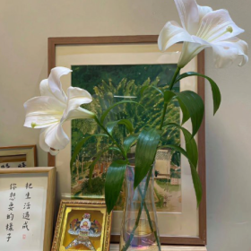 没有情绪的生活,我很