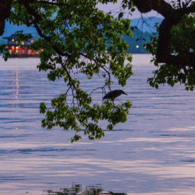 总有人用心，总有人浪