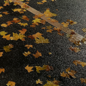 其实早就不顺路了 是