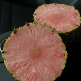 有一种很棒的感受是
