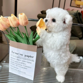 看到一条很治愈的评论