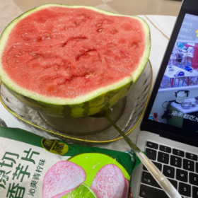 别人的二十多岁帕拉梅