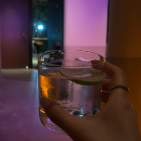 别人的二十多岁帕拉梅