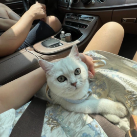 看到一条很治愈的评论