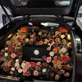 看到一条很治愈的评论