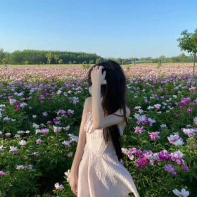 温柔高级的小众文案