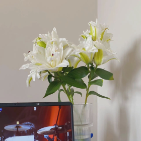 “可以用到过年的微信高级状态短句”