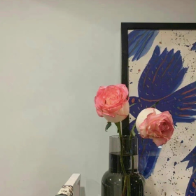 无关爱情的小众文案