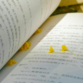 不想谈恋爱时发的文案