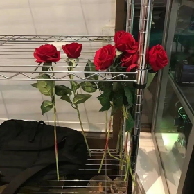 简约又高级的朋友圈文案