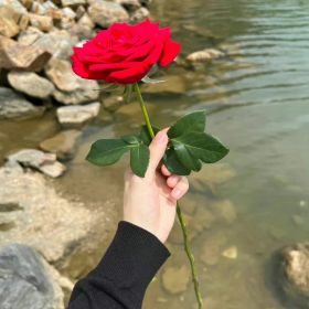 调皮可爱的搞笑文案