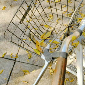 不想谈恋爱时发的文案