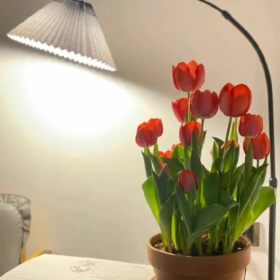 你吃土的时候  没有