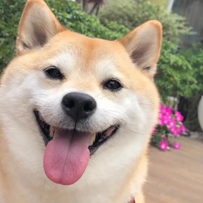 王星星