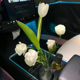 生活总会遇见惊喜的，