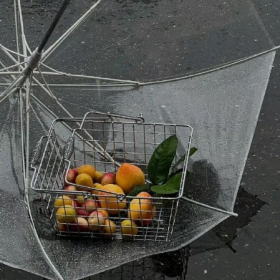 ▪外界的声音都是参考