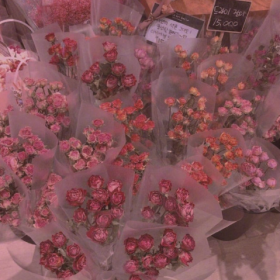 我不炫耀，因为我不自