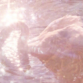 我不炫耀，因为我不自