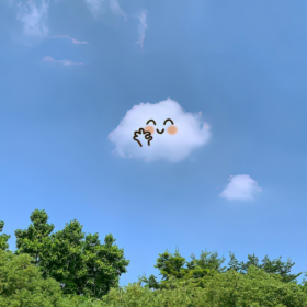 夏天的风我永远记得,