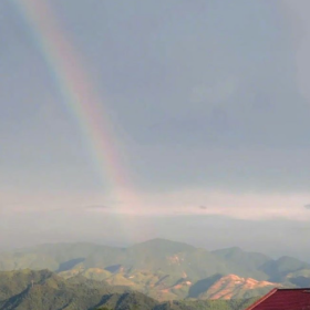 我所理解的生活就是 