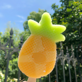 夏天的风我永远记得,