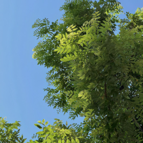 夏天的风我永远记得,