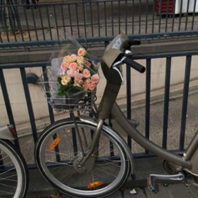 我所理解的生活就是 