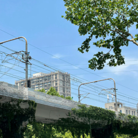 夏天的风我永远记得,