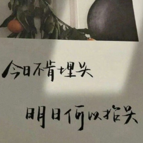 我所理解的生活就是 