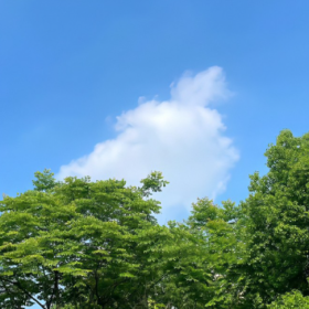 希望这个六月,天气凉