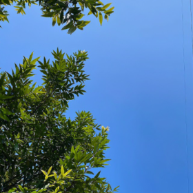 希望这个六月,天气凉