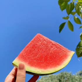 希望这个六月,天气凉