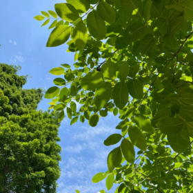 希望这个六月,天气凉