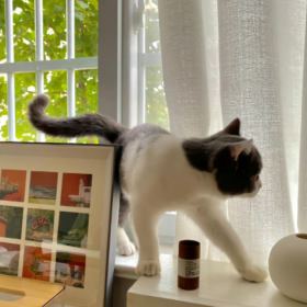 只要你拥有热气腾腾的