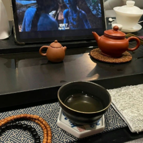 你已春色摇曳，我仍一