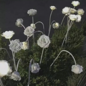 任何关系中，懂得服软