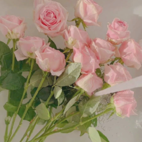 任何关系中，懂得服软