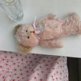 任何关系中，懂得服软