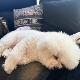 停止胡思乱想吧 青春