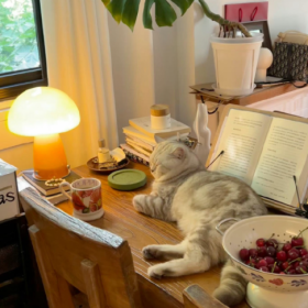 目光所至皆为华夏，五