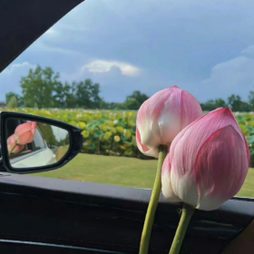 格局打开 你会发现很