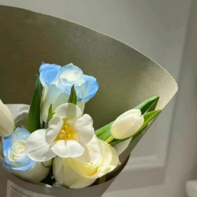 𝙎𝙝𝙖𝙧𝙚｜朋友圈背