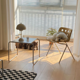 幸福没有标准答案,想