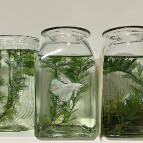 或许 新的故事 会在